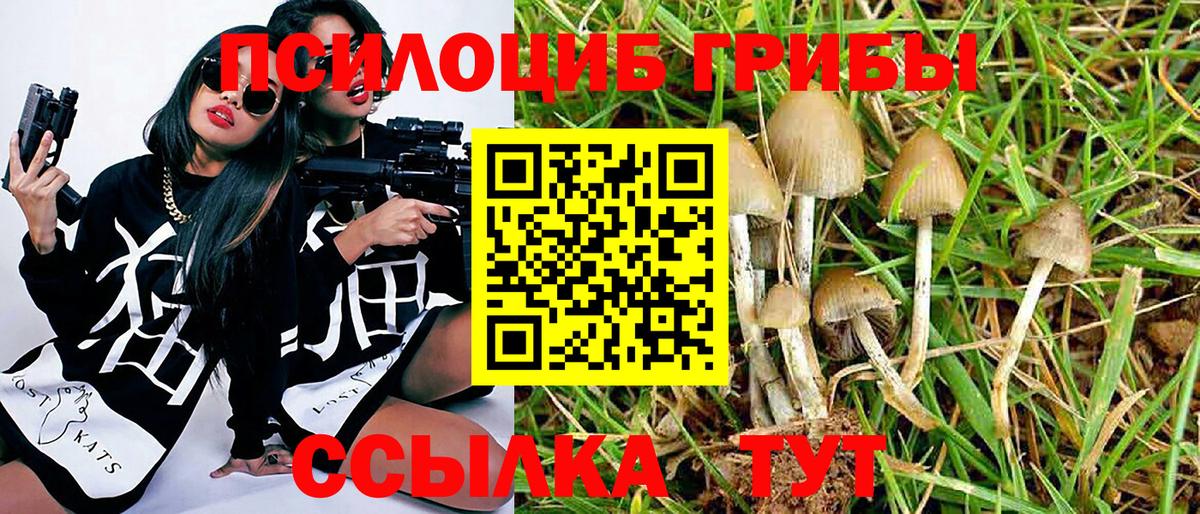 Галлюциногенные грибы мицелий Чита