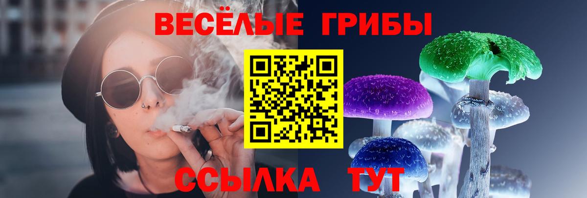 Псилоцибиновые грибы мухоморы  Псилоцибиновые грибы ЛСД  Чита  Вход с VPN 